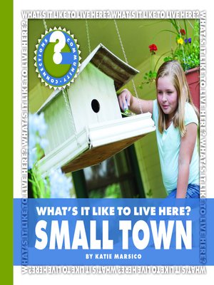 cover image of What's It Like to Live Here? Small Town